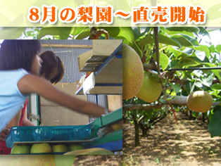 �����i�F2